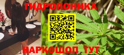 сатива Лесосибирск