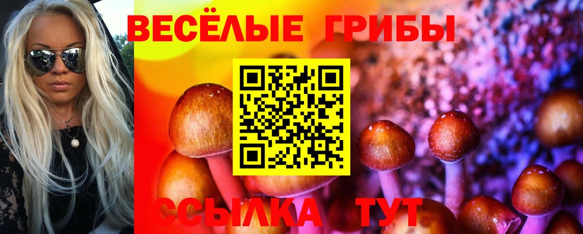 купить  сайты  Вход с VPN  Гусь-Хрустальный  Галлюциногенные грибы ЛСД 
